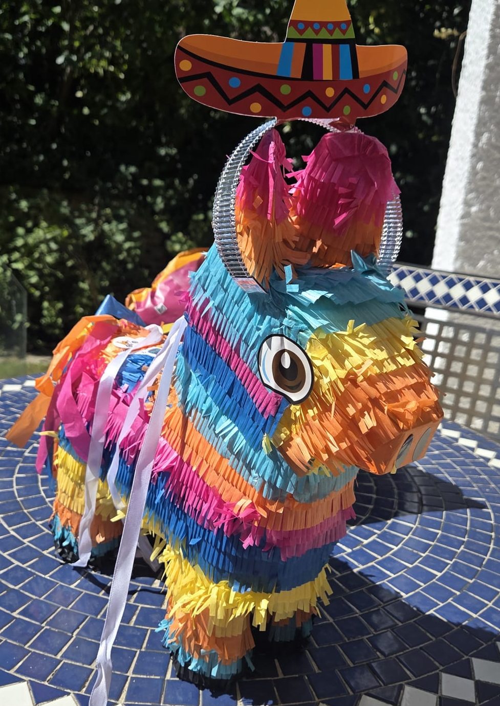 Mexican Pinata